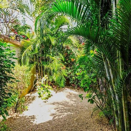 Villa Tropicale Balinaise Intimiste Grand Bay Εξωτερικό φωτογραφία